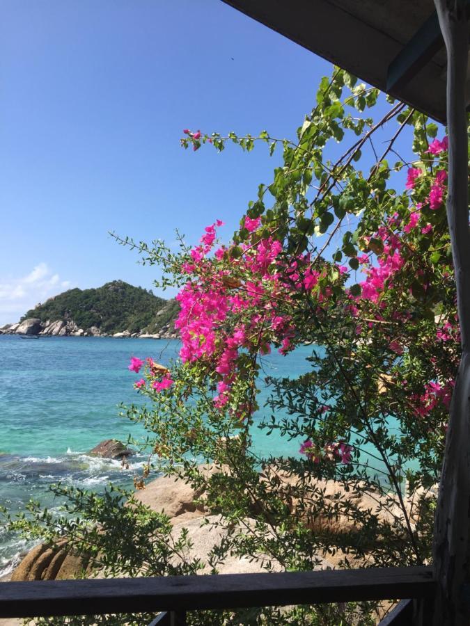 Rocky Resort 涛岛 外观 照片